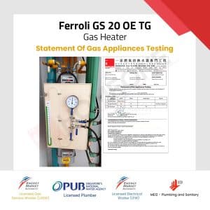 Ferroli GS 20 OE TG Gas Water Heater Statement of Gas Testing