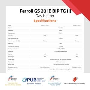 Ferroli GS 20 IE BIP TG (I) Specifications