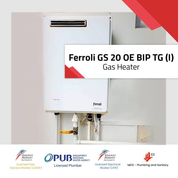 Ferroli GS 20 OE BIP TG (I)