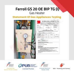 Ferroli GS 20 OE BIP TG (I) Gas Testing