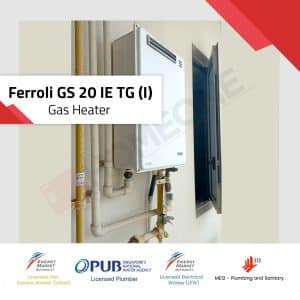 Ferroli GS 20 IE TG(I)