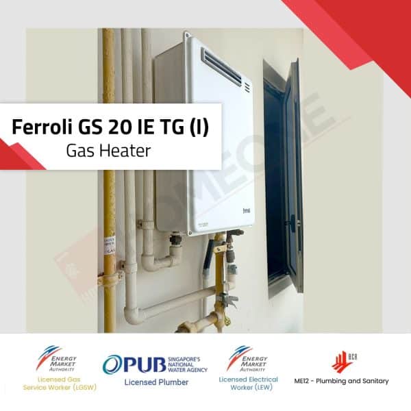 Ferroli GS 20 IE TG(I)