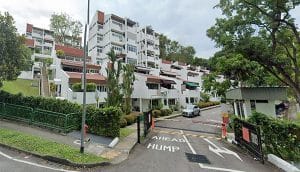 Water Heater Installation at Clementi Park