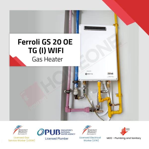 Ferroli GS 20 OE TG (I) WIFI