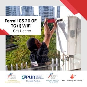 Ferroli GS 20 OE TG (I) WIFI with technician