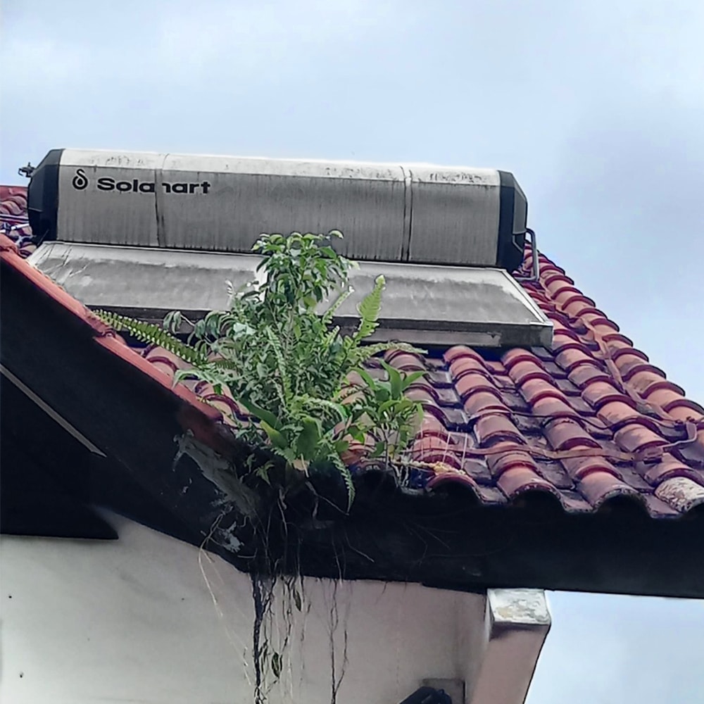 Solahart solar water heater replacement to Rheem EHG-80 water heater at 18 Gerald Crescent, Yio Chu Kang - 4 Apr 2024